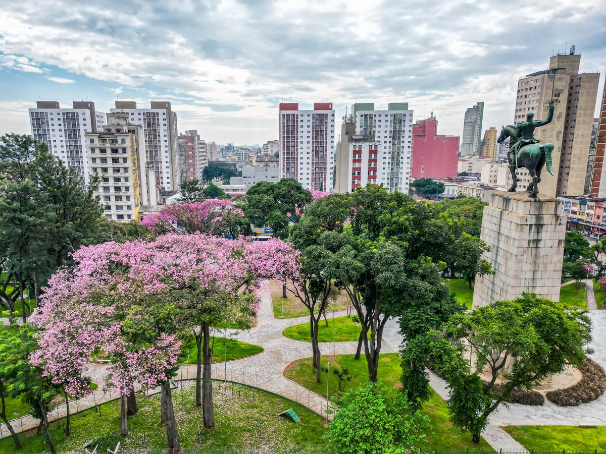 prefsp's tweet image. 🌎 São Paulo é feita de muitos mundos.

Aqui, cada esquina tem um idioma, cada parque tem um ritmo e cada pessoa carrega um pedaço da cidade dentro de si. 💛

E você, o que mais gosta de fazer em São Paulo? 🌆💬

#BelezasDeSP #PrefSP #SãoPauloNãoPara #CidadeLinda…