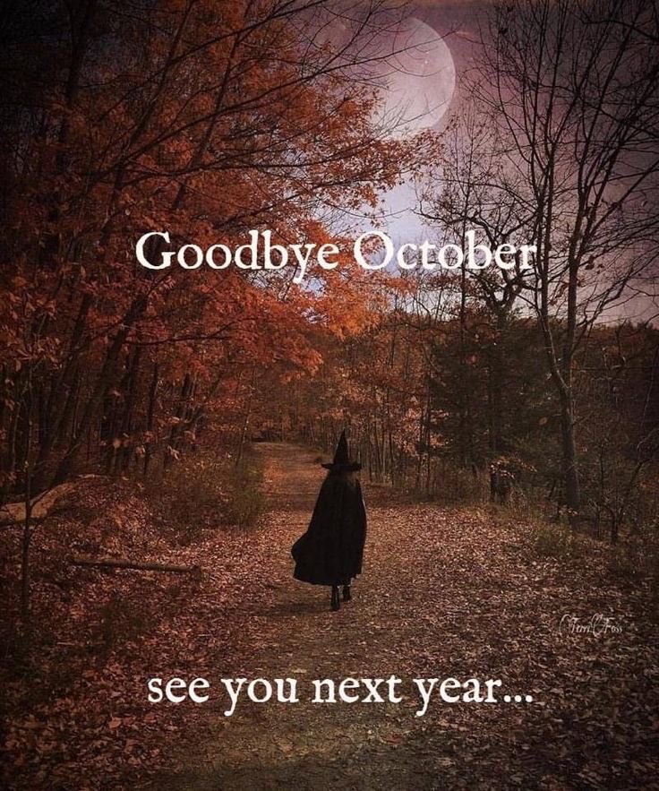 ChestnutTim's tweet image. So long until next year !!!