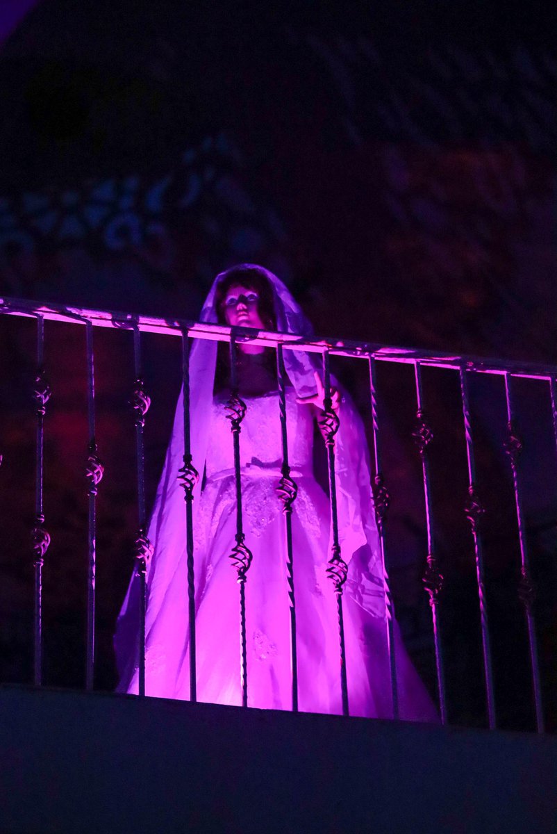 Adolfo Cerqueda Rebollo tweet media