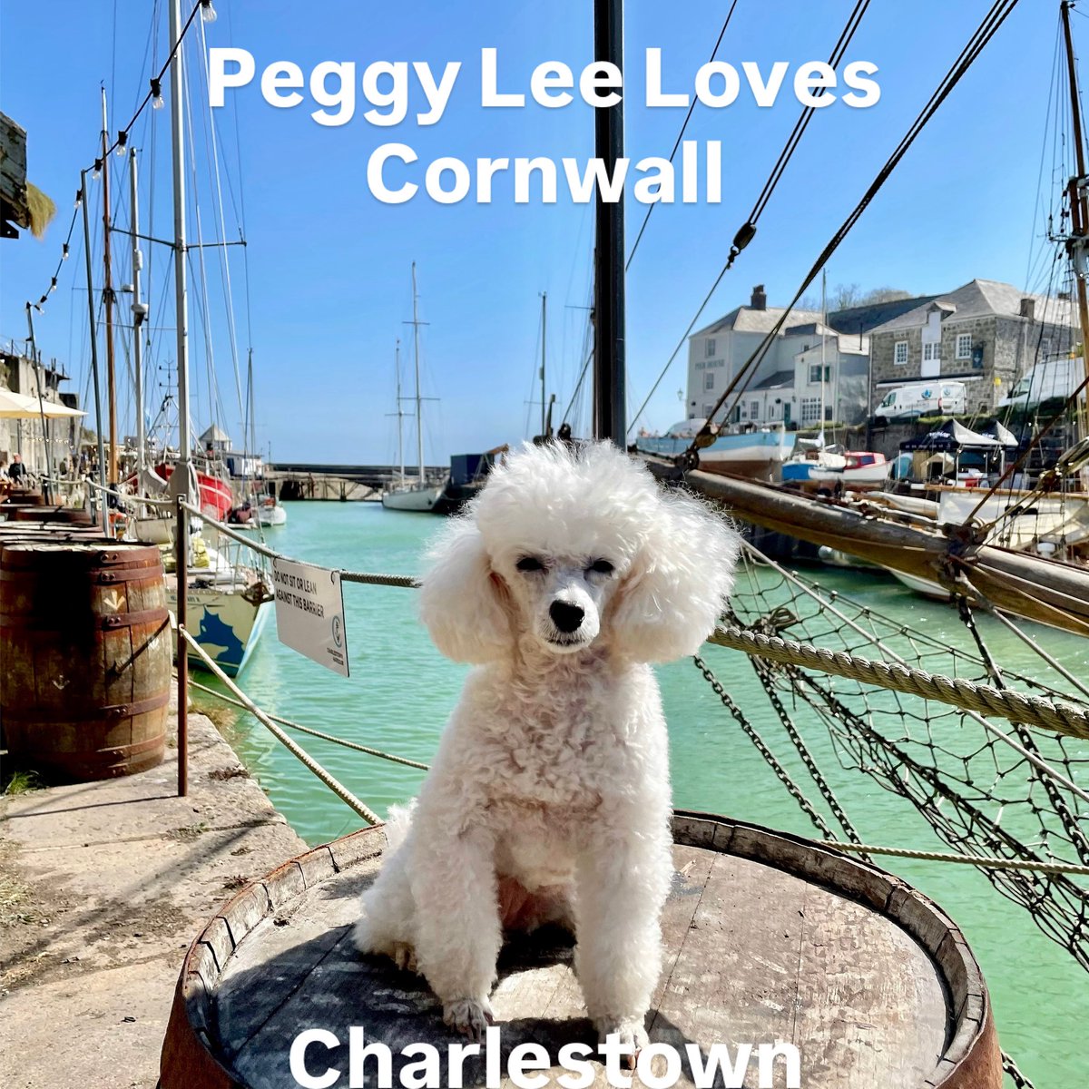 Metropoodle's tweet photo. #charlestown #cornwall #peggyleelovescornwall #metropoodle https://t.co/N13l38hzTP