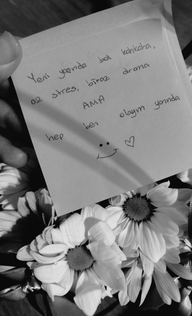 kisaca_elo's tweet photo. Canım dostum ✨ https://t.co/XQnoo0nh5A