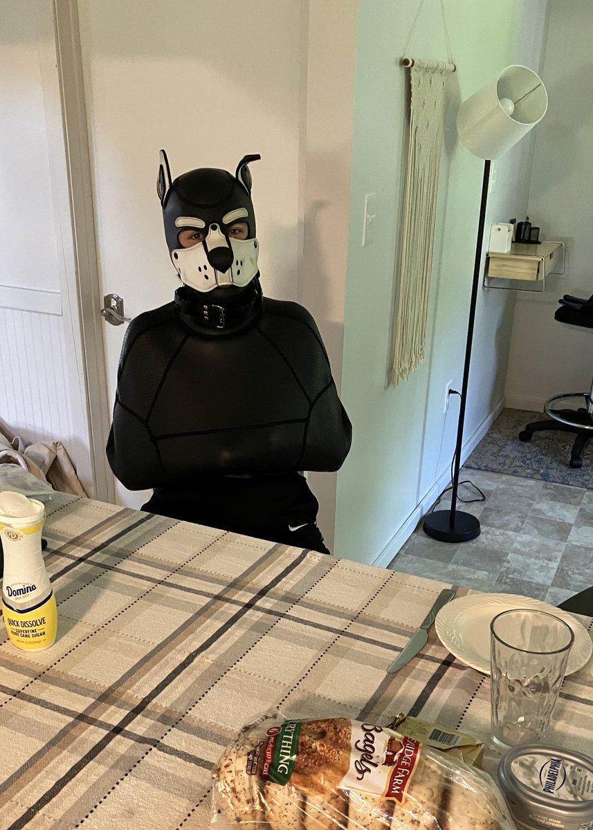 Rawr hiii uhhhhh excuse me can I have a bagel pwease? 👉👈

⛓️: rotkaepple (bsky)