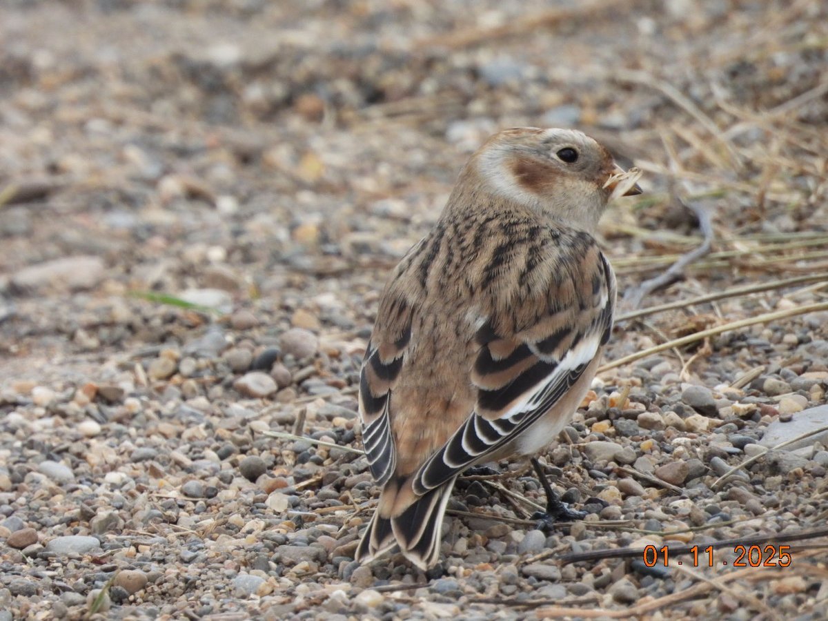 Alan Wrightson tweet media