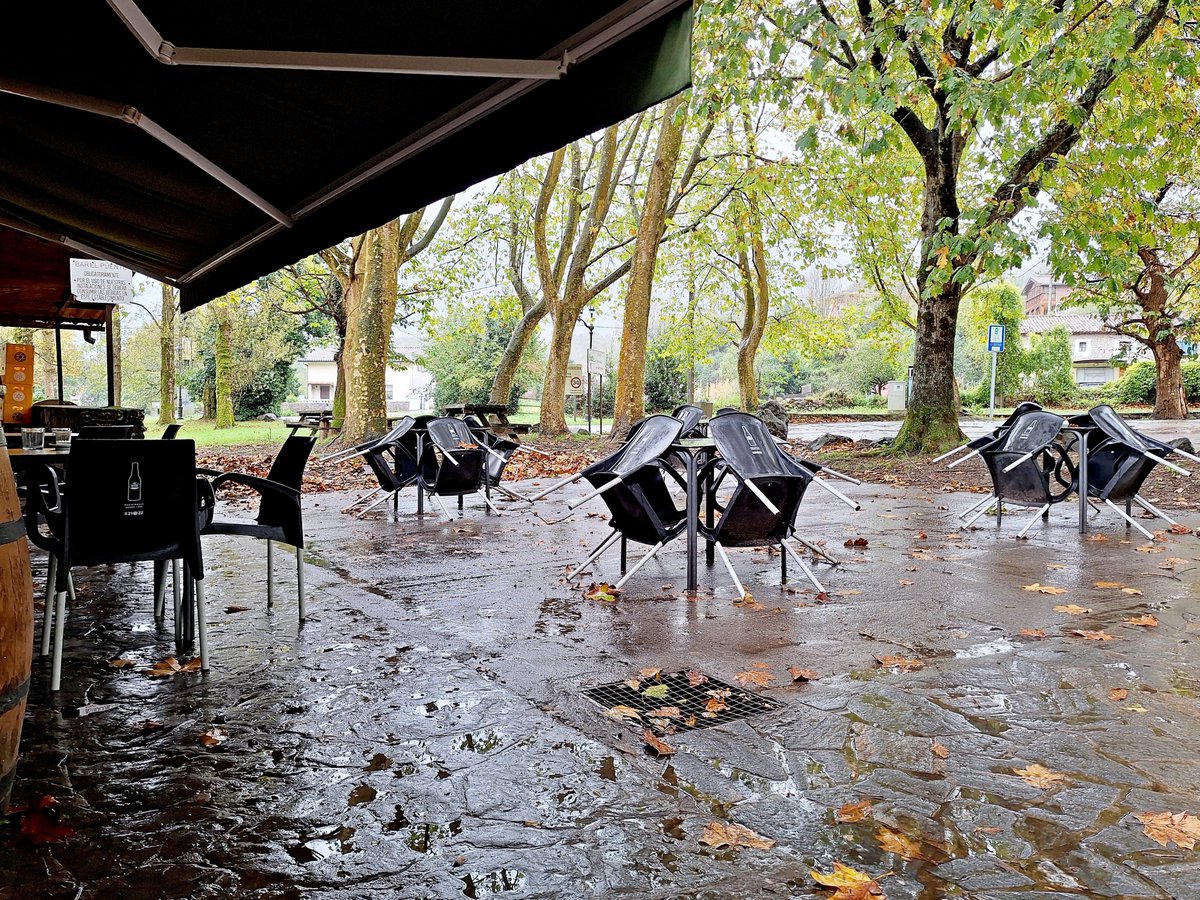 ElPuentedeVega's tweet image. ✨ Hoy amaneció triste y  lluvioso, pero aun así, debemos recordar con amor y gratitud a quienes ya descansan en paz.
Su luz y su ejemplo siguen vivos en nuestros corazones. Hoy y todos los dias

#DíaDeTodosLosSantos #RecuerdoEterno