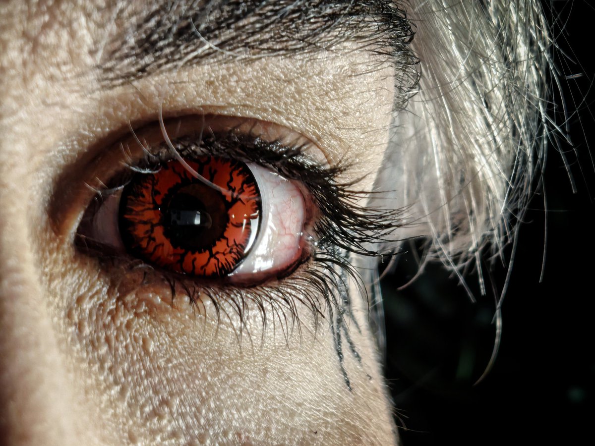 📷 Nothing Phone (3)

Castanyada o Halloween?