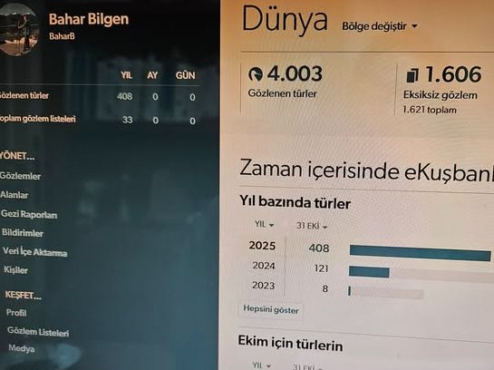Kuşlar Aleminde gezindim :)
Amazonus da ki 197 yeni türümden ve Kuş Ailelerinde %90 hedef derken son  durum .( IOC v15.1 e göre )
Kuş aileleri : 231/256 - %90
Kuş cinsleri : 1450( son hali degil)  / 2396 - %60
Kuş türleri : 4003 / 11250 (164 ex.tür icinde) - %36