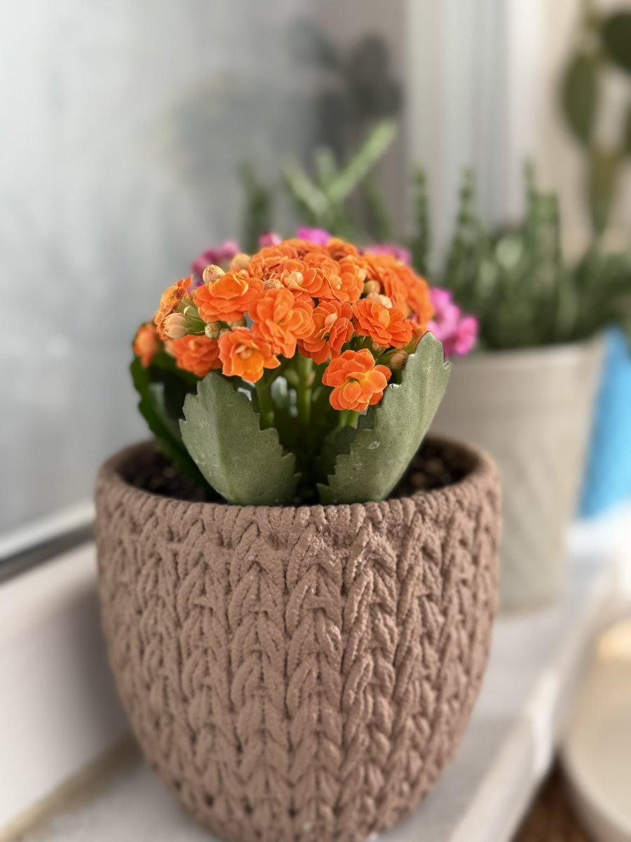 Fazlasını verdiğiniz hiçbir şeyin kıymeti bilinmez. ✨🍂🍁