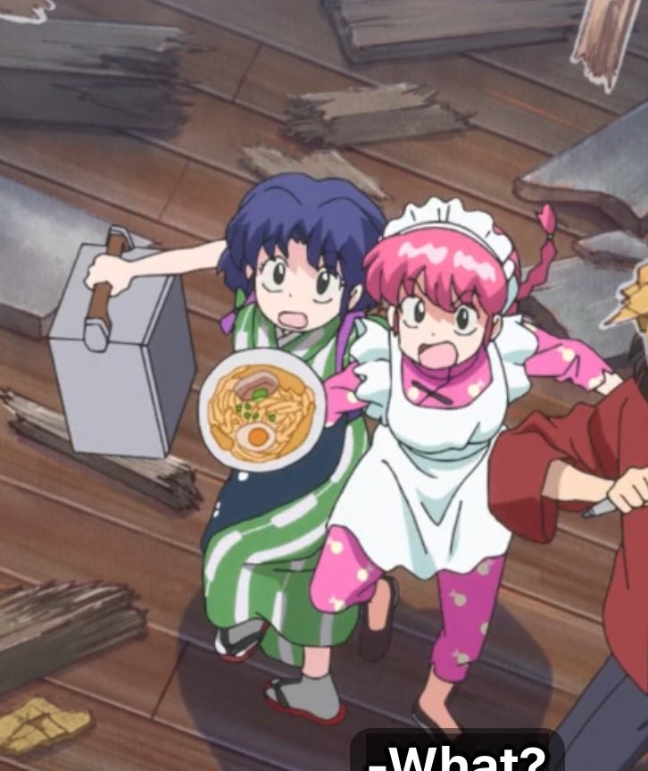 BUGS WHEN YOU LIFT UP A ROCK