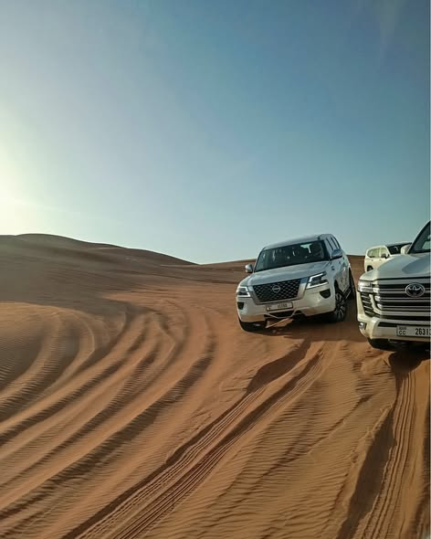 Satima Expeditions And Events tweet media