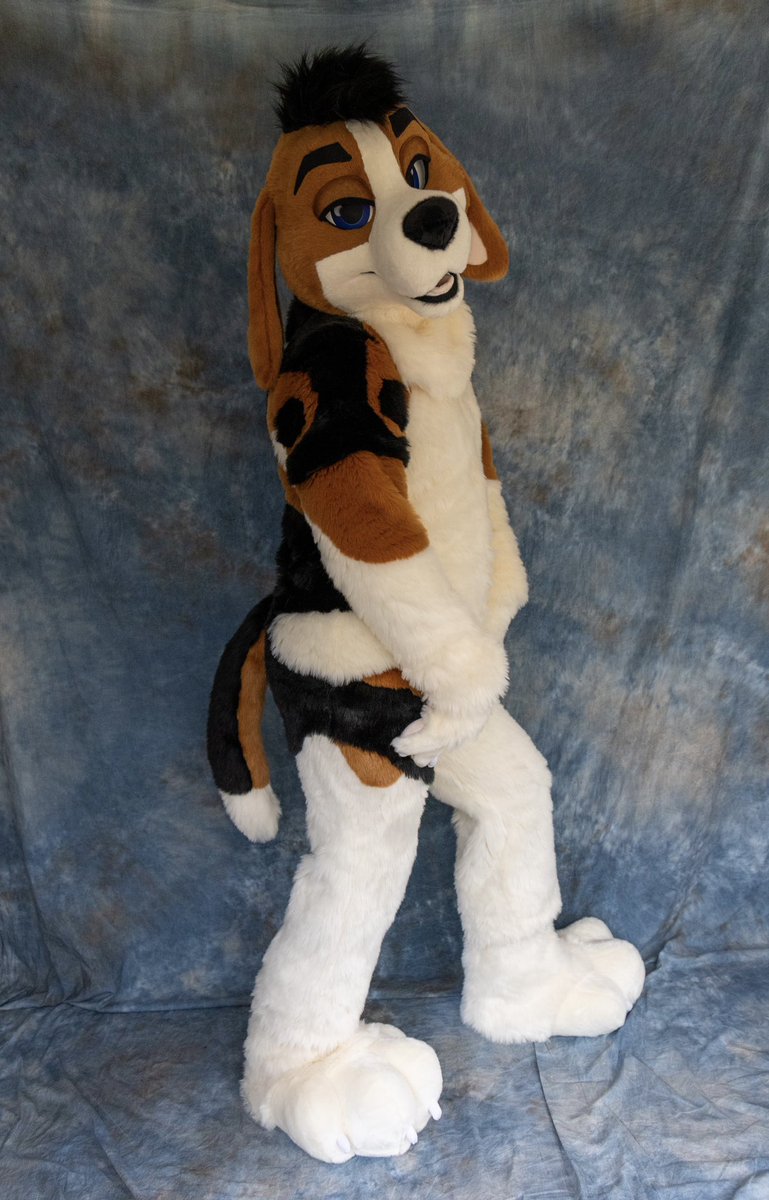 BlueHarborC's tweet image. Now now now..who do we have here???

BAXTER the beagle 🐶. He’s 10/10 goodest boy.