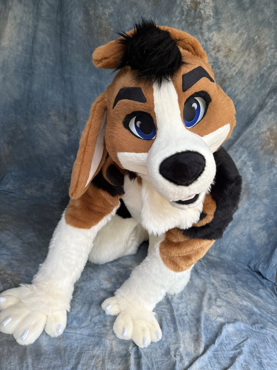 BlueHarborC's tweet image. Now now now..who do we have here???

BAXTER the beagle 🐶. He’s 10/10 goodest boy.