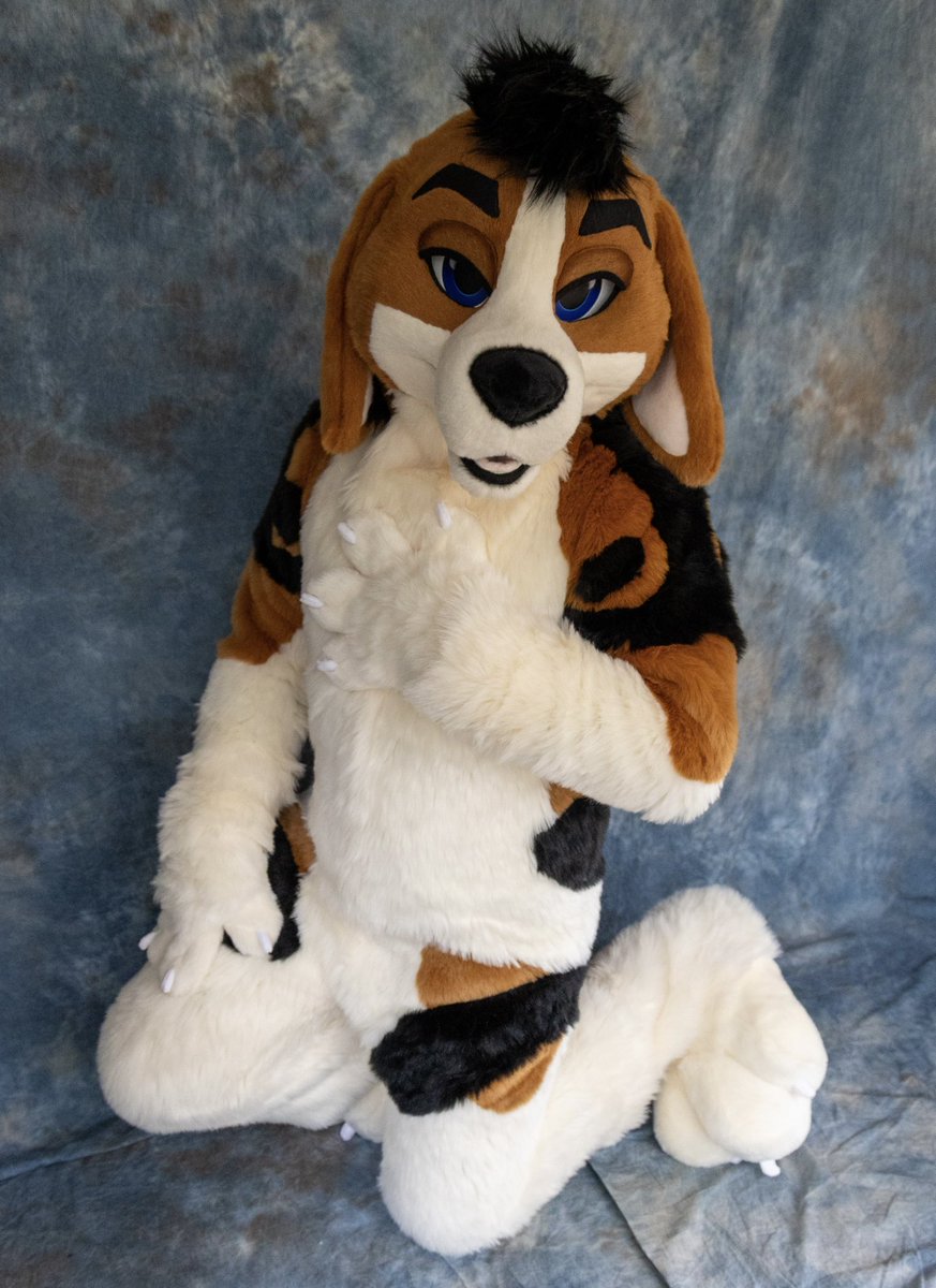 BlueHarborC's tweet image. Now now now..who do we have here???

BAXTER the beagle 🐶. He’s 10/10 goodest boy.