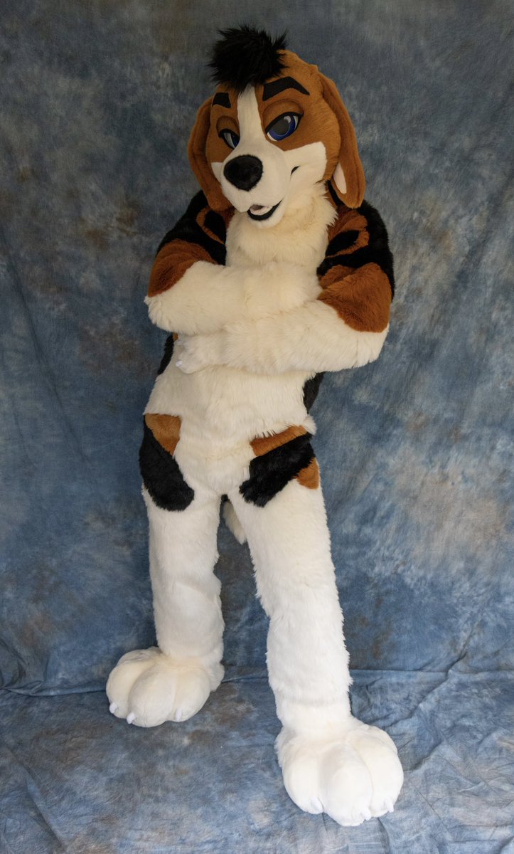 BlueHarborC's tweet image. Now now now..who do we have here???

BAXTER the beagle 🐶. He’s 10/10 goodest boy.