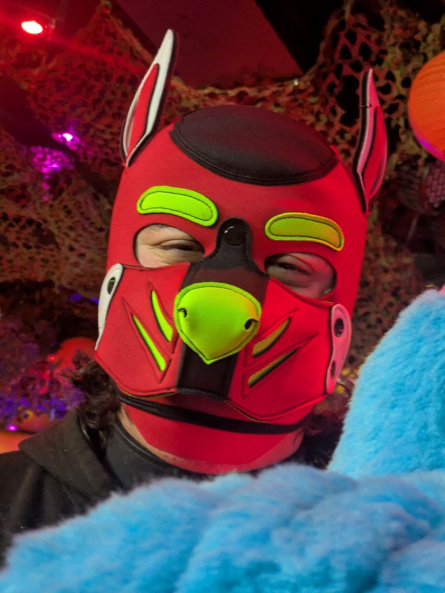 New <a href="/MrSLeather/">Mr-S-Leather</a> custom hood alert. Got here way faster than expected, and I'm in absolute love with it
<a href="/ClonezoneDark/">Clonezone Dark</a>

#humanpup #gaypup