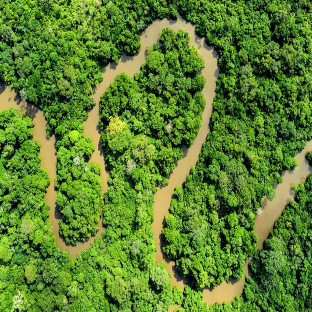 WBG_Climate's tweet image. Did you know Gabon achieved exceptionally low deforestation—just 0.6%—through proactive conservation policies, making it one of the few countries classified as High Forest, Low Deforestation? 

Learn more about #CongoBasin forests: wrld.bg/WPgG50Xlj0X