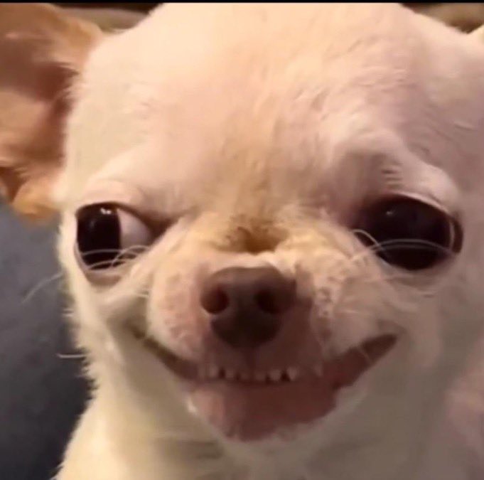 But <a href="/SheilahCandy/">🤍🦋 November fairy 🦋🤍</a> how much longer shall I wait for you to get the blue badge (verification) 🥹🥹