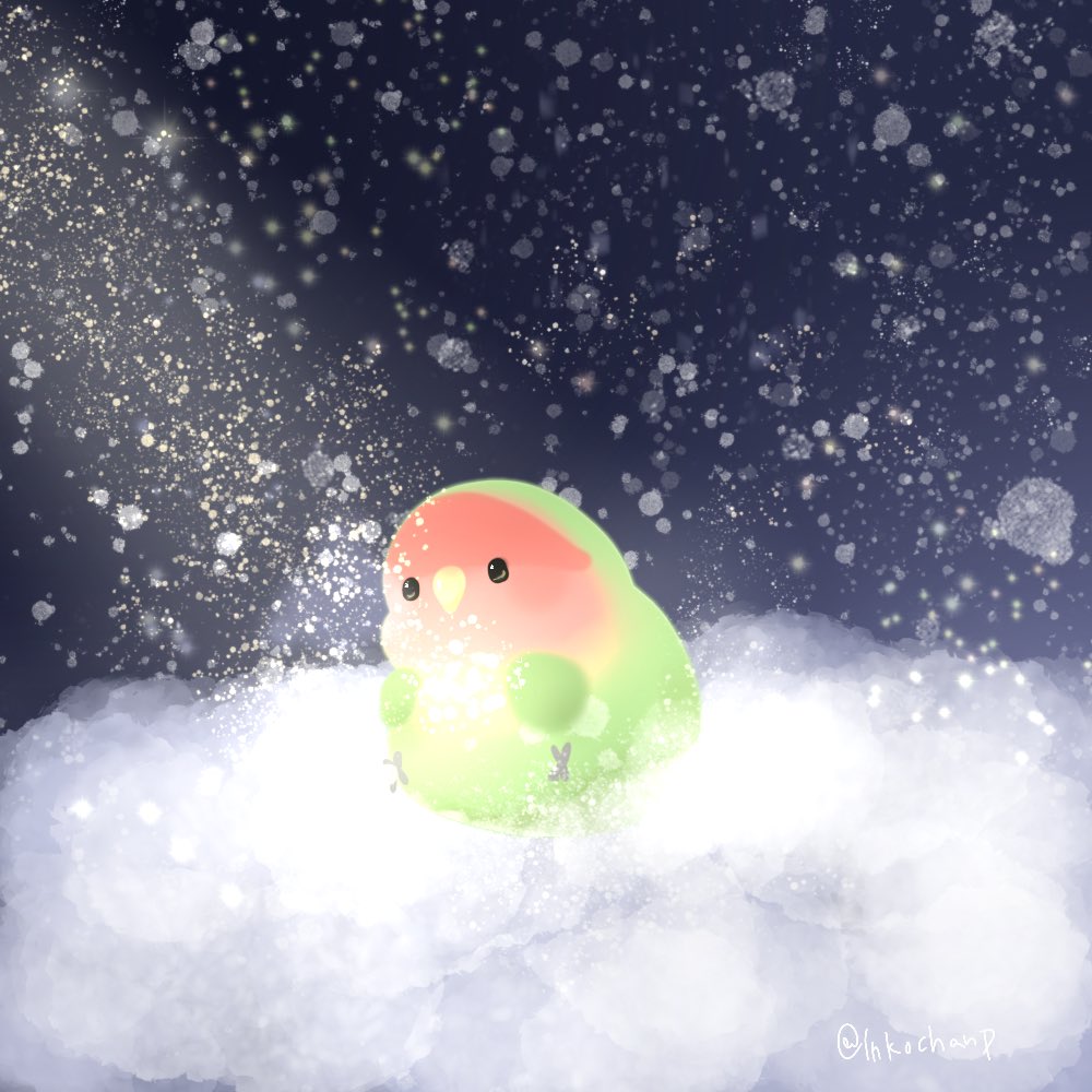 ひよ こまめ🎨 tweet media