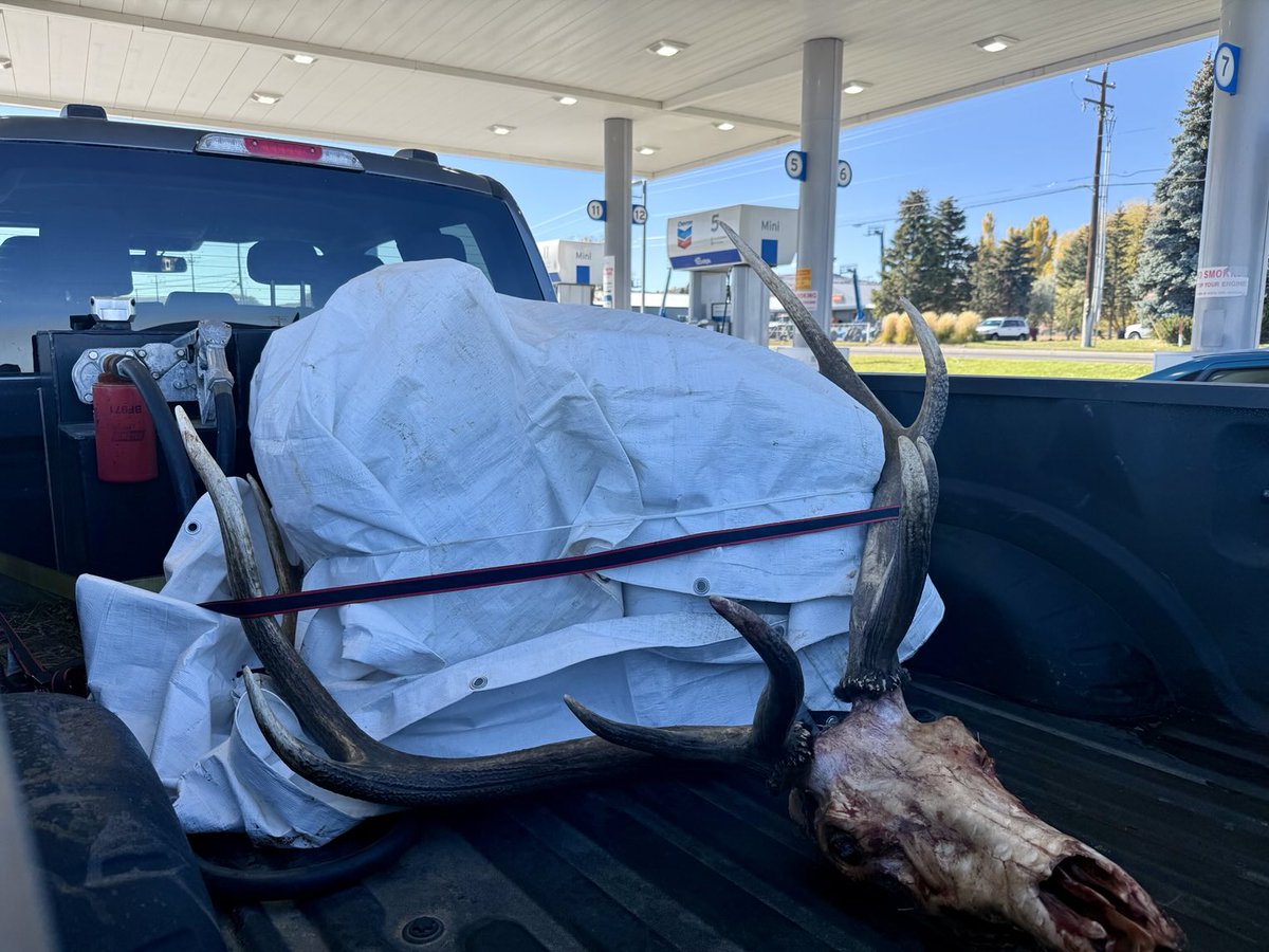 Dale Stark tweet media