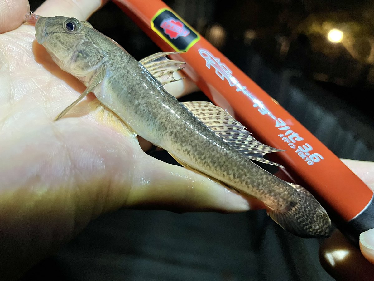 さっち (@aian20071124) / Posts / X