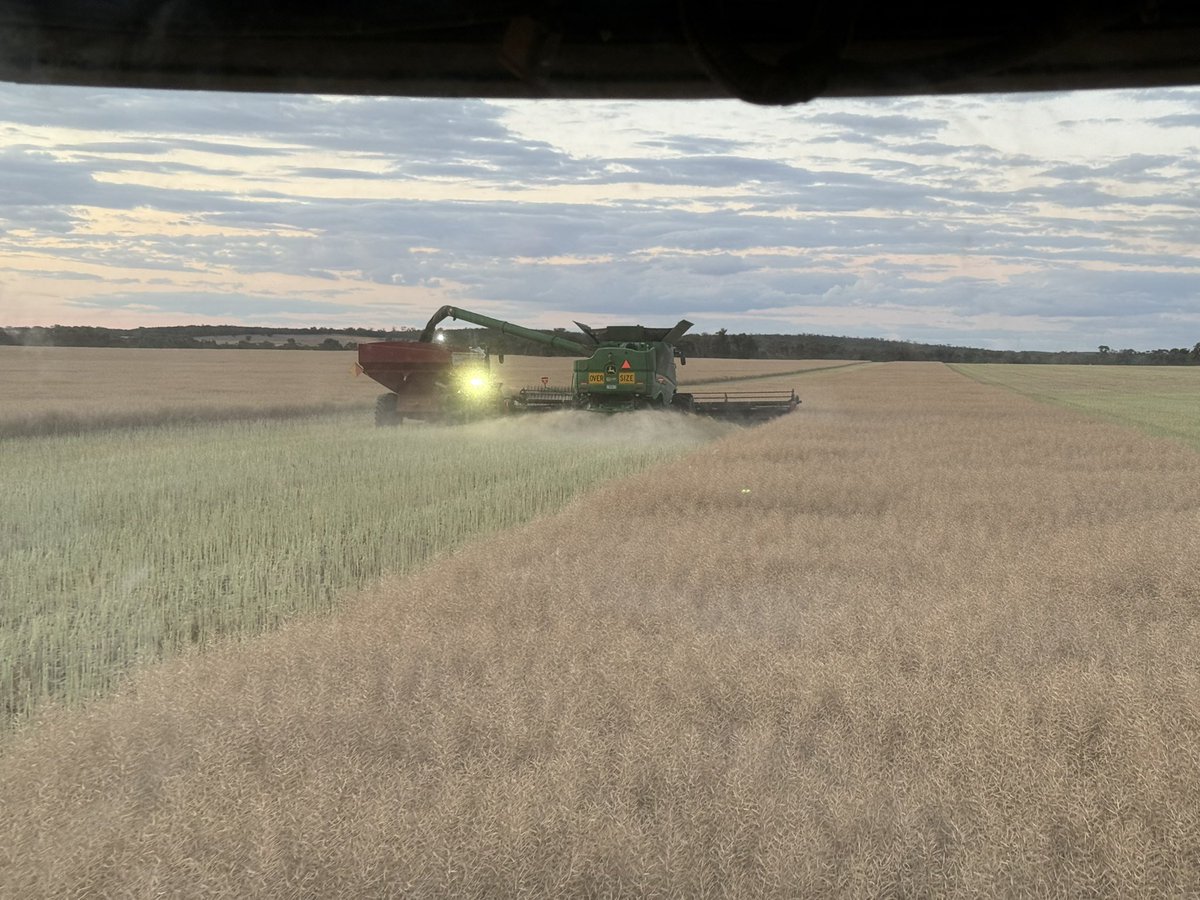 Barry Haskins tweet media