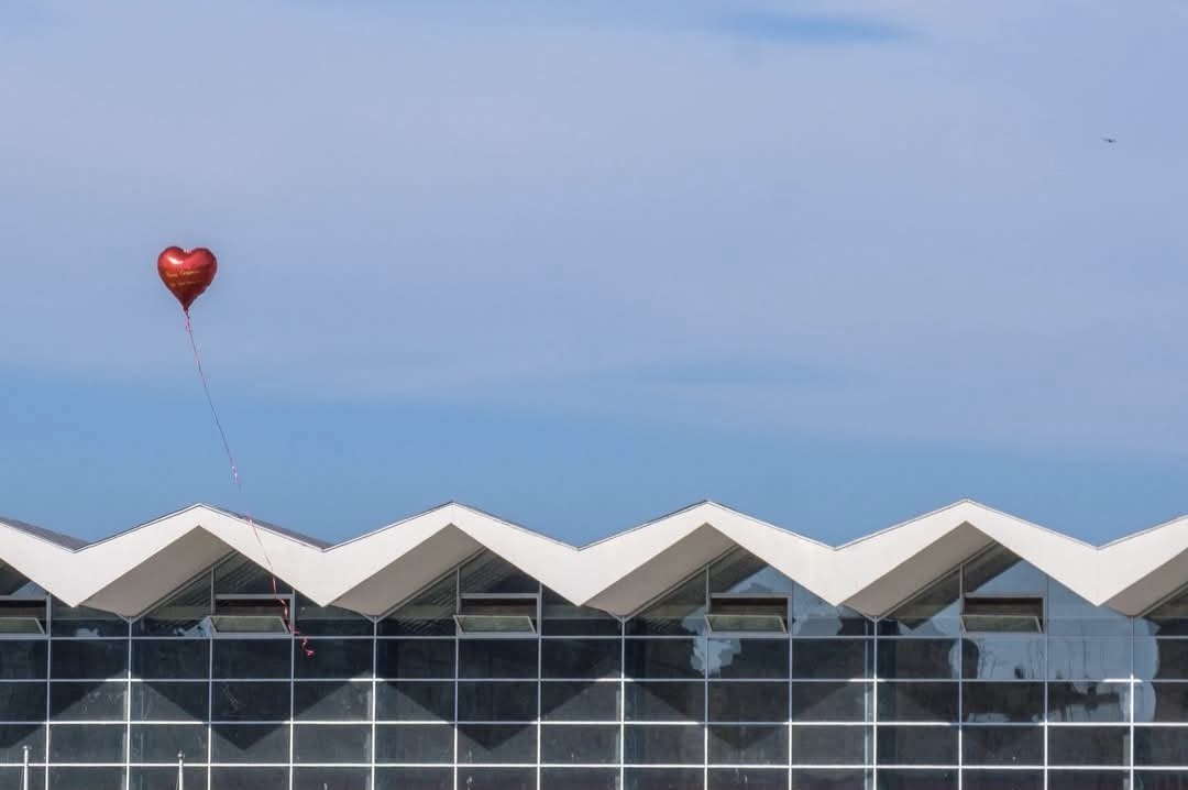 Danas je dan žalosti. Godinu dana od nestanka 16 života u sekundi. Dan tuge, saosećanja, poklonjenja poginulima i njihovim porodicama. Danas nije dan za političku i ličnu promociju, pljuvanja, pretnje, selfije i osvetničke pokliče. Neki drugi dani su za to...
💔🕊️
photp: V. Milić