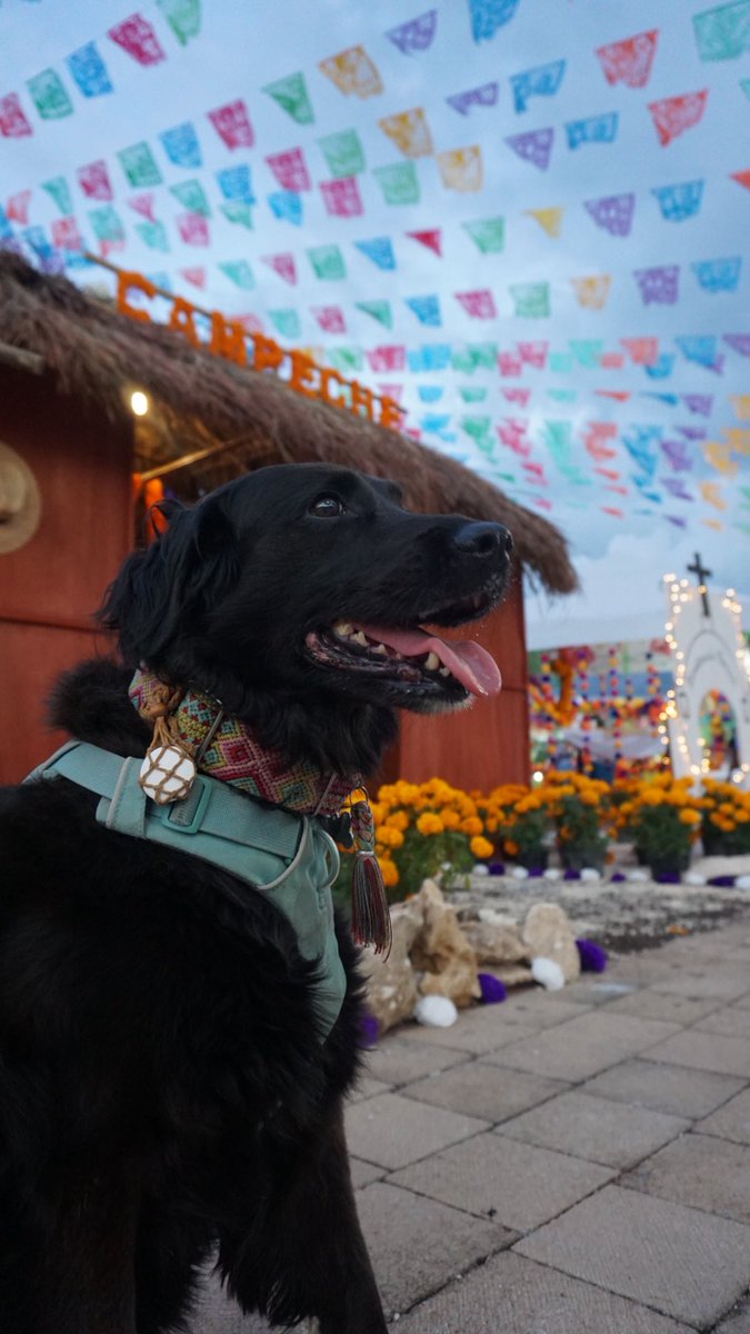 Christelle Patt tweet media