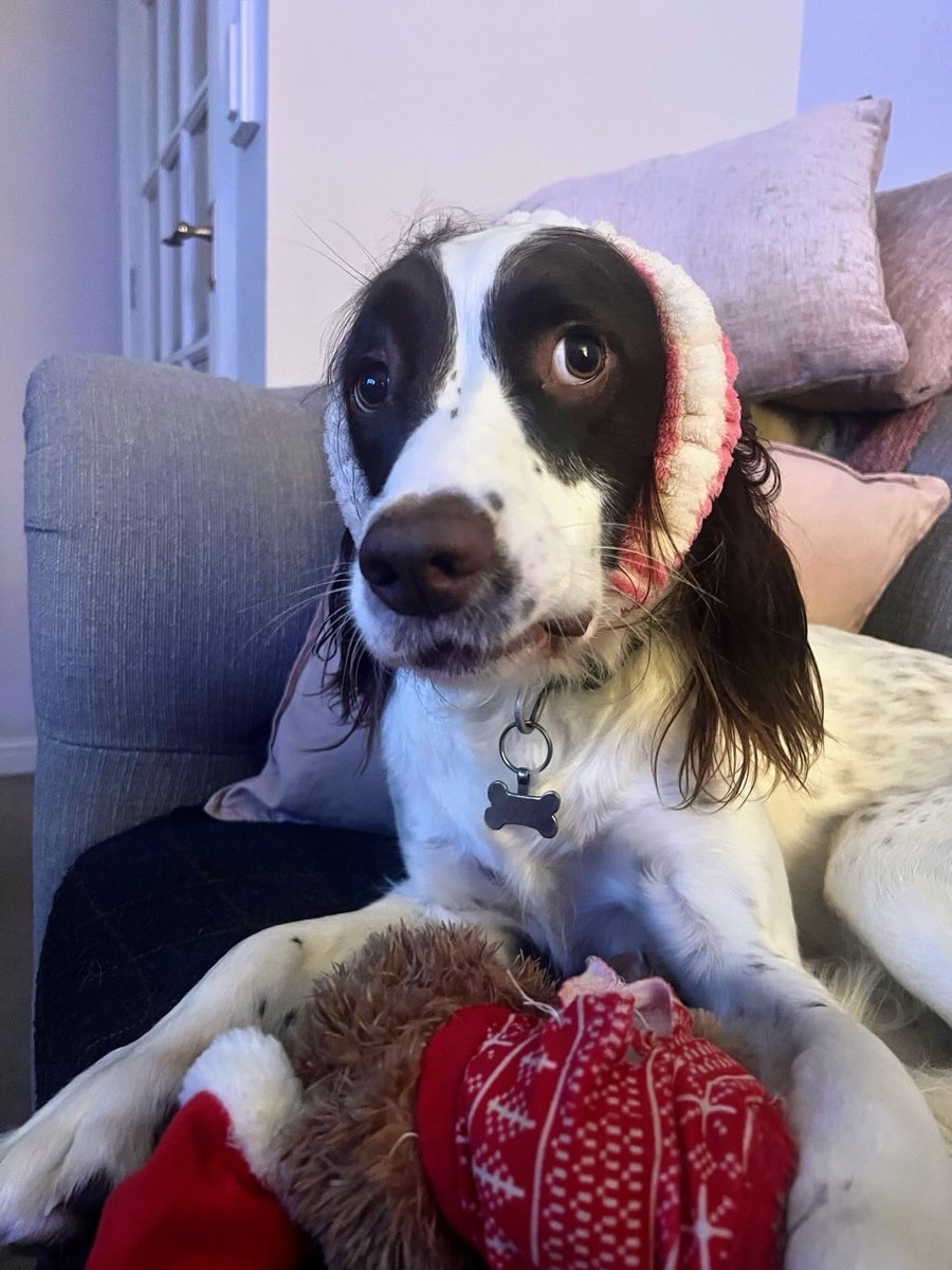 Peter Fisher | Web Development courses tweet media