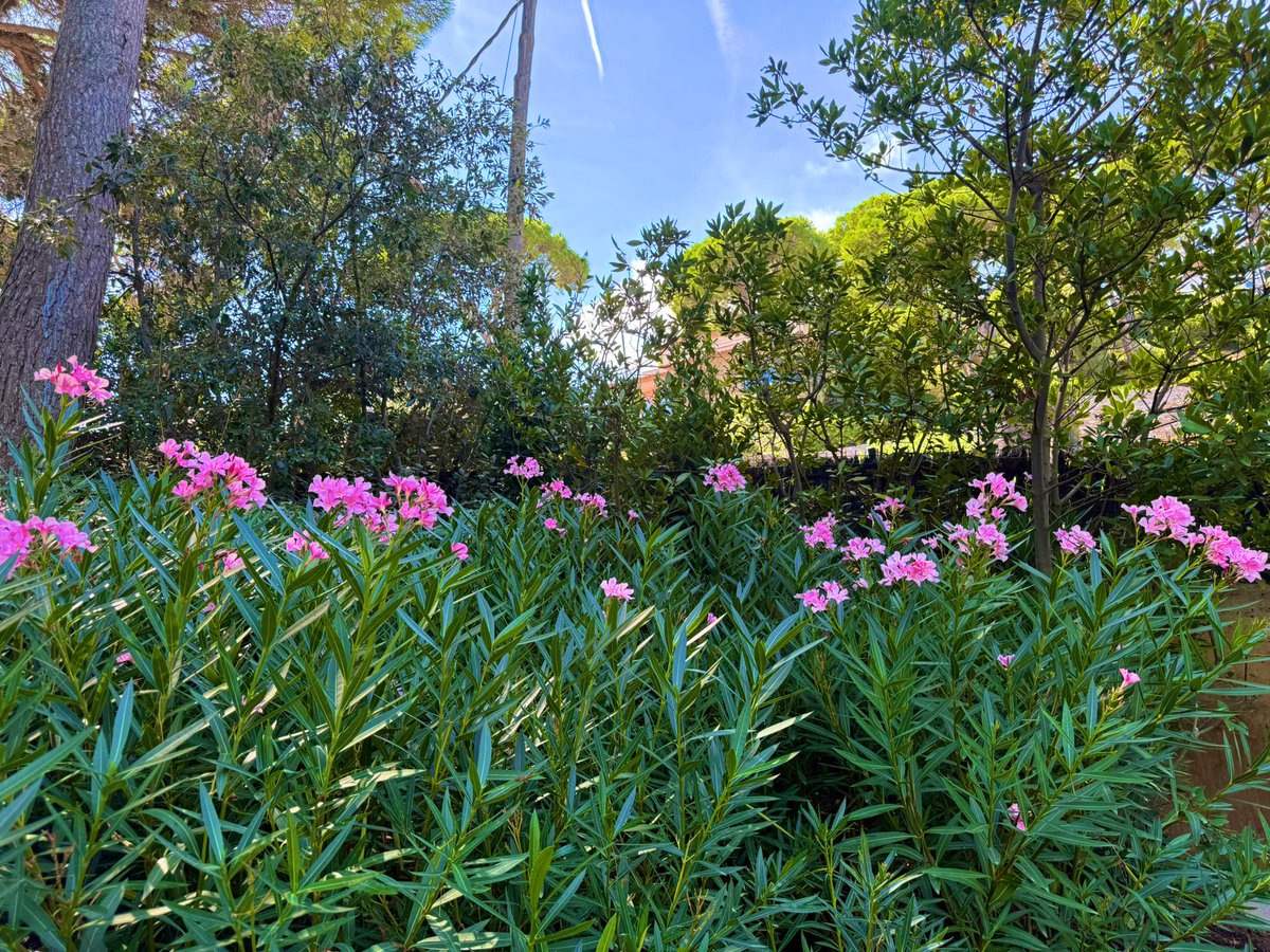 <a href="/bobbygreyone/">Tracy Harris</a> <a href="/livewirelois/">^livewireLois</a> <a href="/sergey_silkin/">Sergey Silkin</a> <a href="/val_fina/">Fina Val</a> <a href="/layebin/">Abdoulaye Sall</a> <a href="/YakoutLaila/">saray</a> Thank you dear Tracy, may it be great to all 🌺🍀💐