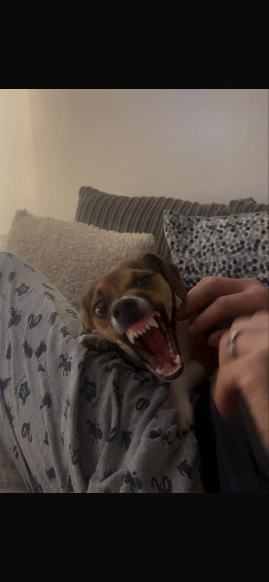 Paul Fisher tweet media