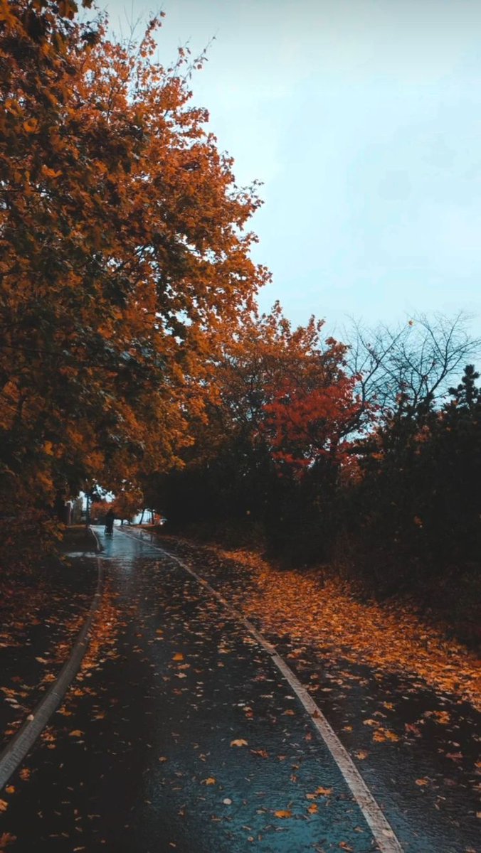 bu yolda hangi müziği dinlerdin