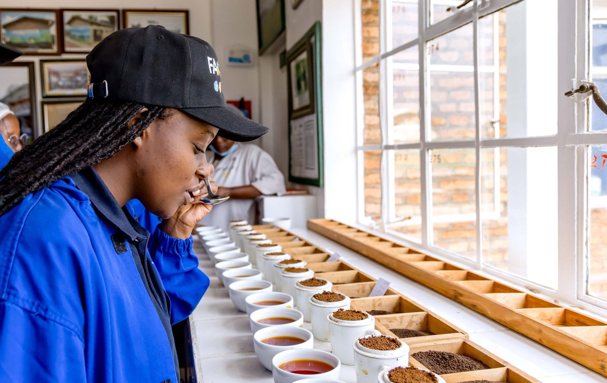 SangwaSifa's tweet photo. Closed my eyes for a moment and let the journey begin.
This isn't just sipping tea; it's tasting the very soil and sunshine of Rwanda. I experienced the ultimate farm-to-cup connection, straight from the magnificent, lush fields of @sorwatheltd.
The quality, the freshness, the care, you can taste the difference when the path from the farm to your lips is this pure. Stop settling for average tea and start experiencing it. When a product has this kind of heritage and and dedication behind it, every sip is a story.
What single thing makes a moment feel complete for you? Share it with us!
#TeaExperience #TeaFarming #AgriUpdatesRw