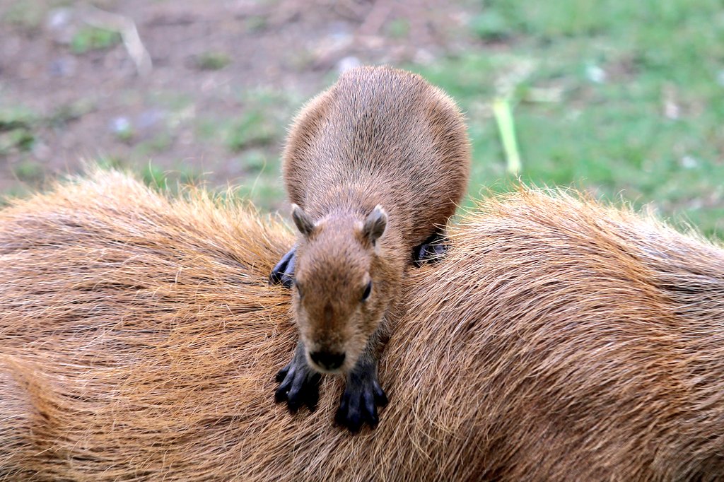 断捨離サマ♡専用ページ 🌺🌊 #okinawa