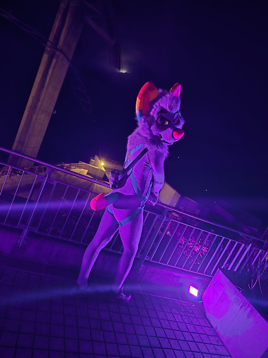 InfinityFloof's tweet image. First time trying petsuit with the harness 🥵 looks good