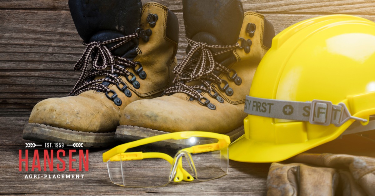 HansenAgriPLCMT's tweet image. Millwright / Maintenance Worker (WA-11104)
$72,000 - $83,000
Kansas
#AgJobs #MillwrightMaintenance #Millwright #Grain
hansenagriplacement.com/jobs/millwrigh…