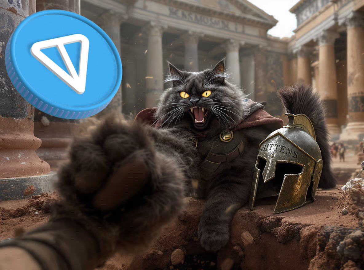 Incoming $TON ATH? 

Foundation makes it exclusive infra for all Telegram mini-apps. dApps exploding in DeFi/gaming—could hit $20 by Feb end? 

Yes from me! 😼💰