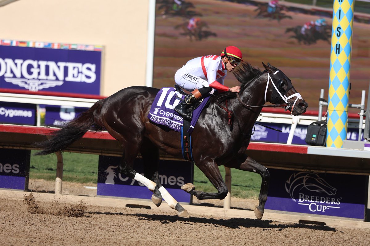 Another one for <a href="/JFDAngelo/">Jose F D'Angelo</a> and <a href="/iradortiz/">Iradortiz</a> 🏆💪🏼

Berntornato wins the Breeders’ Cup Sprint!