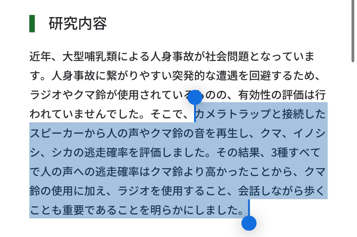 ＊ 追加注文分 ＊　⭐️MYKK⭐️ (他の方には発送できません) E3%83%97%E3%83%AC%E3%82%BC%E3%83%B3%E3%83%88%E4%BC%81%E7%94