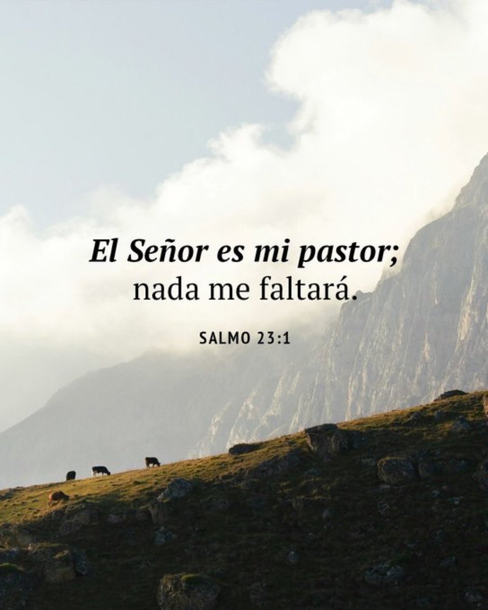 MiOracionHoy's tweet photo. Amén 🙏 https://t.co/5DKtPOXxGK