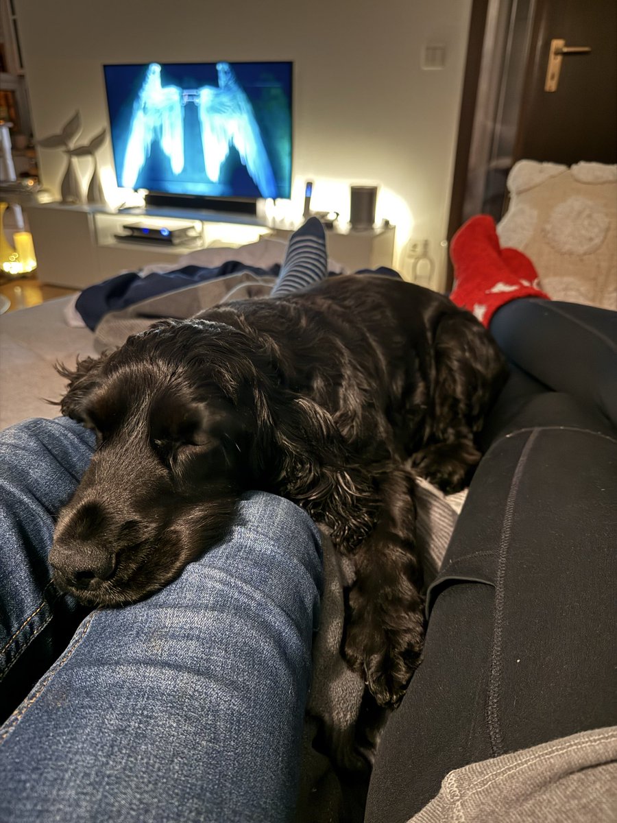 Besser kann man den Abend nicht verbringen 💕 #Loveisintheair