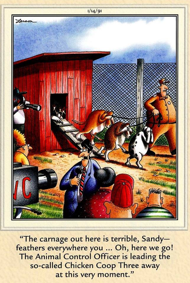 #TheFarSide