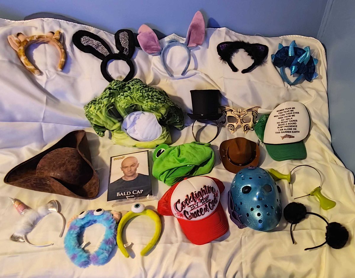 Hey Hatchlings, wanna make me look like broccoli? Or prehasp Mike Wazowski? Or better yet, Mr. Worldwide himself, Pitbull? For a $1 donated to the <a href="/RegimentGG/">REGIMENT 🇺🇸</a> link here, krako.straw.page you can make <a href="/Kraken_00/">Alex</a>  and i change hats every 3 minutes!