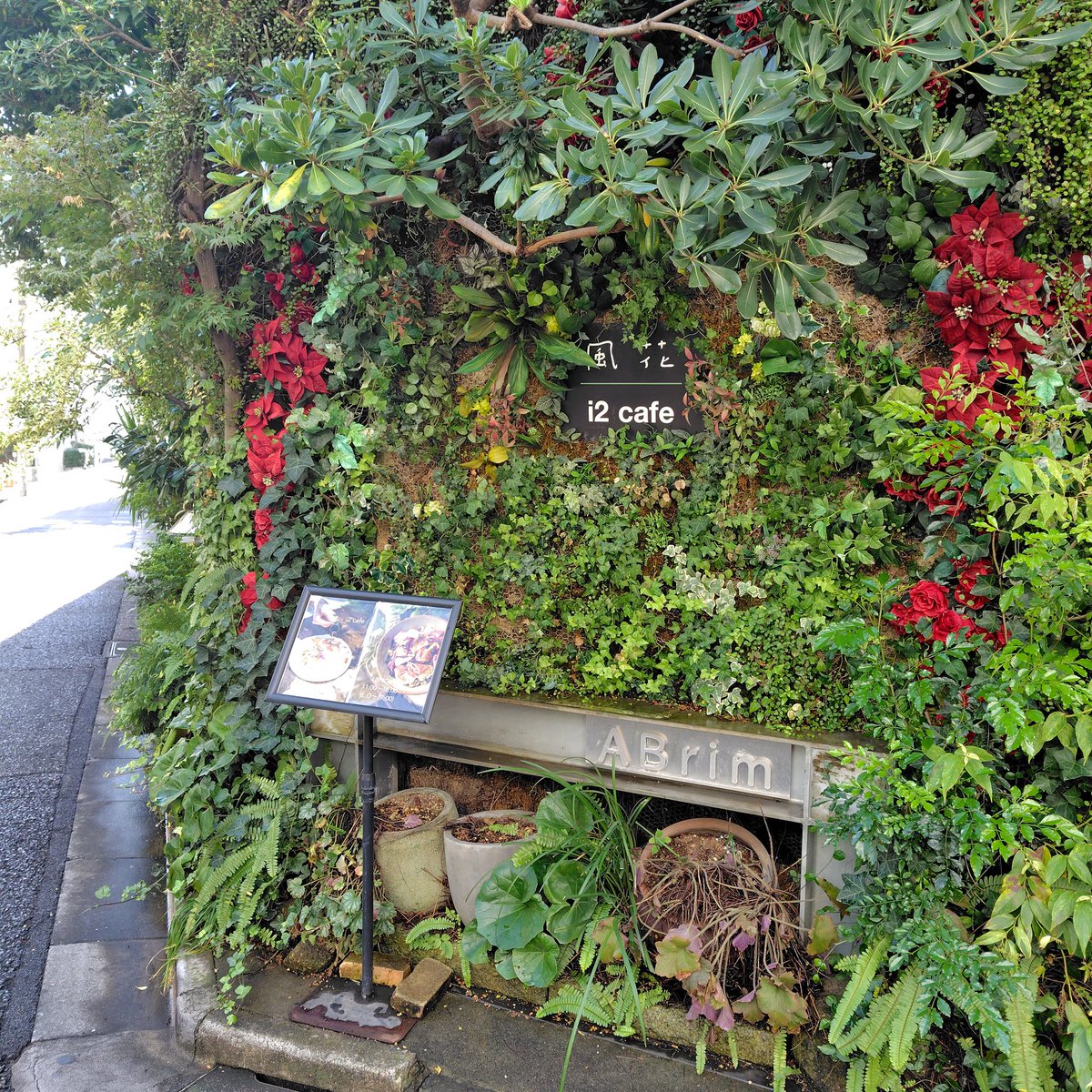 OrmWxt's tweet image. 表参道駅の近くにあるお店はお洒落な雰囲気で素敵でした。朝食プレートはフレンチトーストにメイプルシロップをお好みでかけてカフェラテも美味しかったです。

#東京 #i2 cafe
