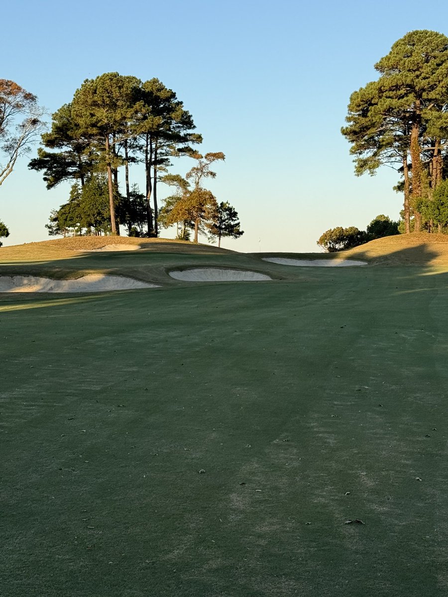 Plisken2112's tweet photo. King and Bear this weekend, last big event of the season. What a glorious afternoon for some quality control! #esva #baycreek #nicklausdesign #palmerdesign #devilsbackbone https://t.co/KFj4vPUQjG