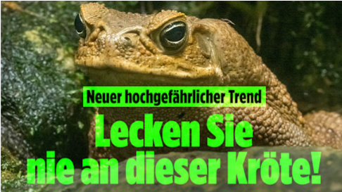 Jörg @kachelmann anderswo: @realkachelmann tweet media