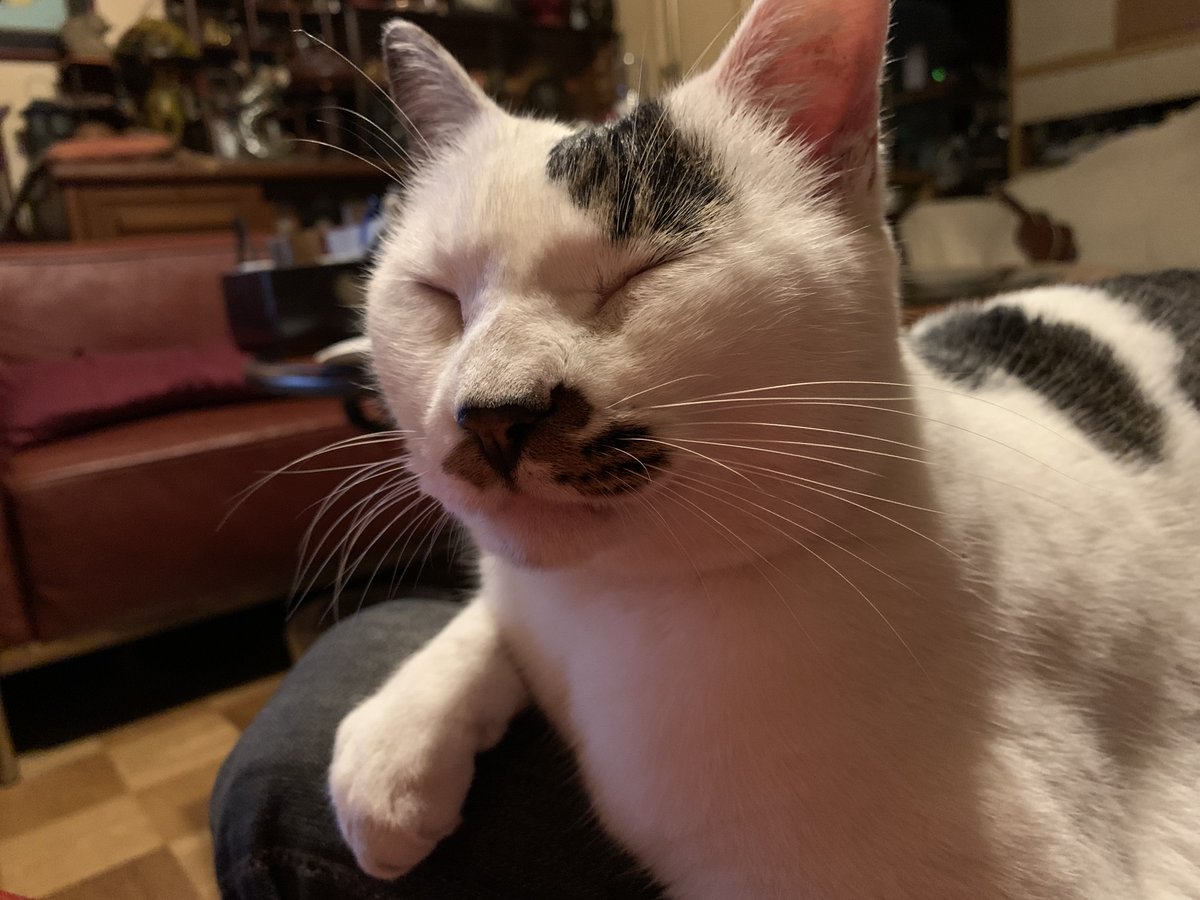 梟ともひさ on X