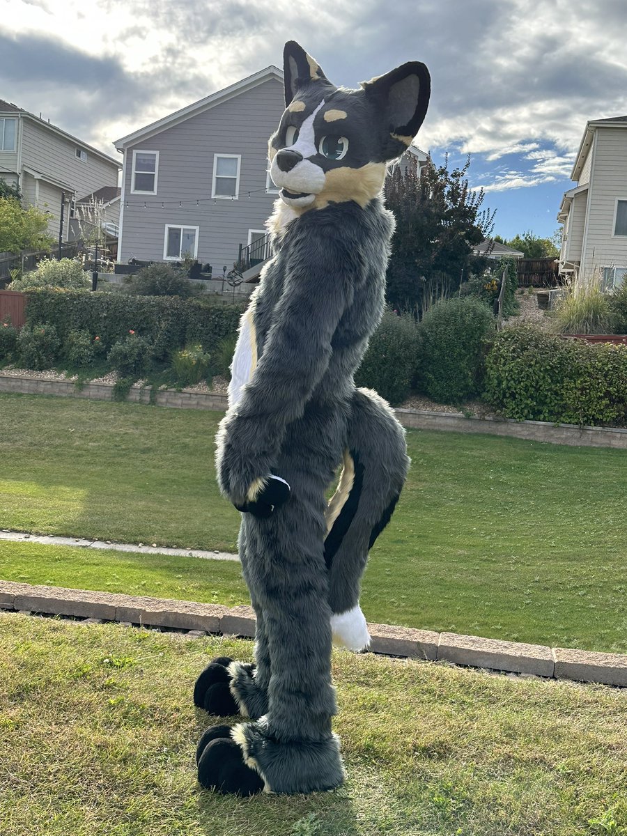 Any mutuals have a room spot available for MFF? 👀