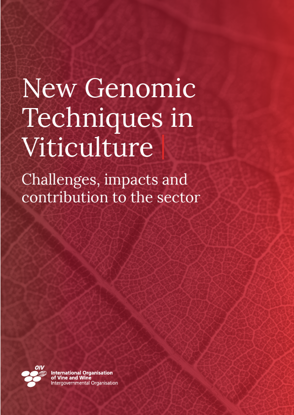 GrapeResearch's tweet image. In a new “collective expertise document” on “new genomic techniques,” @OIV_int offers guidance on the importance of internationally harmonized approaches to ensure responsible research, cultivation and marketing of NGT-derived varieties. #graperesearch buff.ly/9WmN1MH