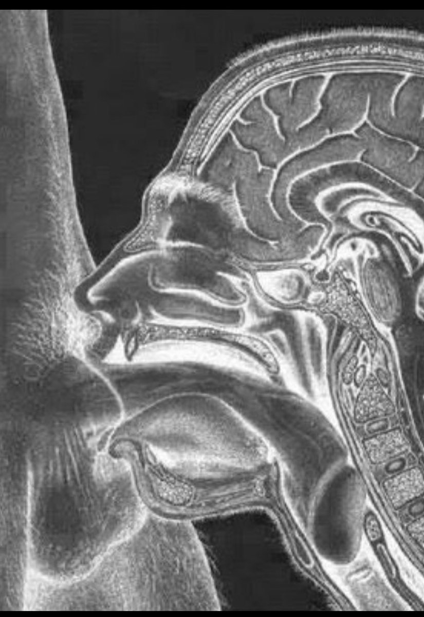 <a href="/ultimopaladin/">El Último Paladín 🥷</a> El 2021 fue el 21
Tanto lactar para ascender solo 7 puestos???