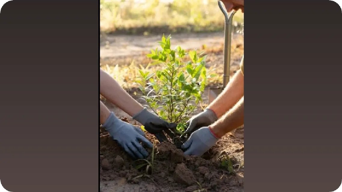 Elcat5's tweet image. This image says it all 🌿
It starts with you. Make a difference.

View the post 👉 app.ecox.network/community/post…
Earn GREEN on @ECOX_ECOToEarn while you act:
app.ecox.network/register?refCo…

#ECOX #GREEN #ECO_TO_EARN