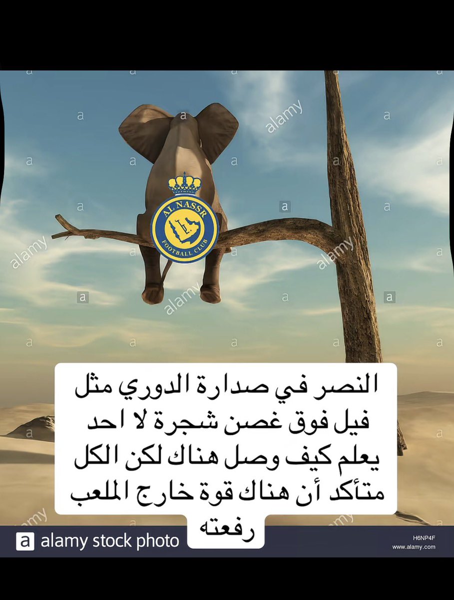 #النصر_الفيحاء

أجمل ماقرأت هذا اليوم 
هنا ينتهي الكلام 😄